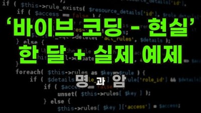 년차 유튜버의 도전! '바이브 코딩' 한 달! - 피가 되고 살이되는 생생 정보 (실제 결과물, 현실, 치명적 위험성 총정리)